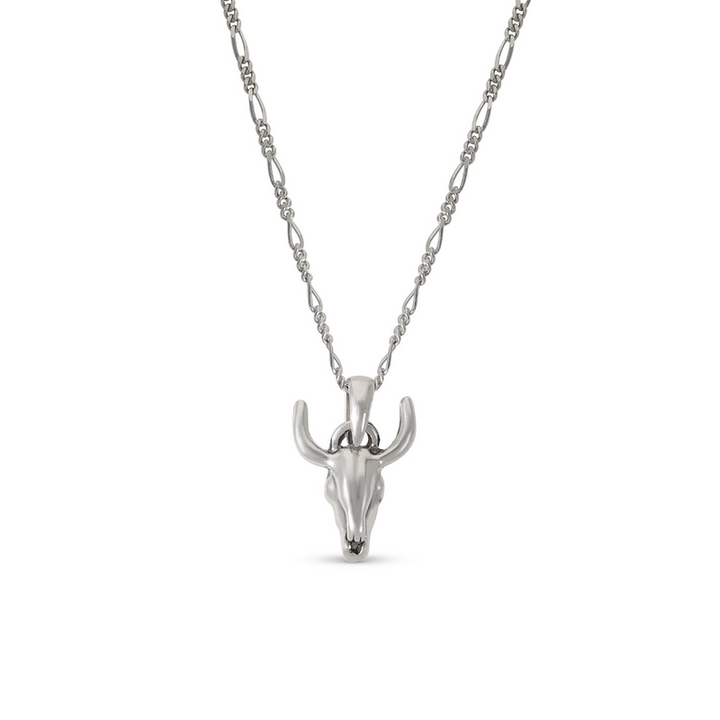 Diablo Silver Necklace