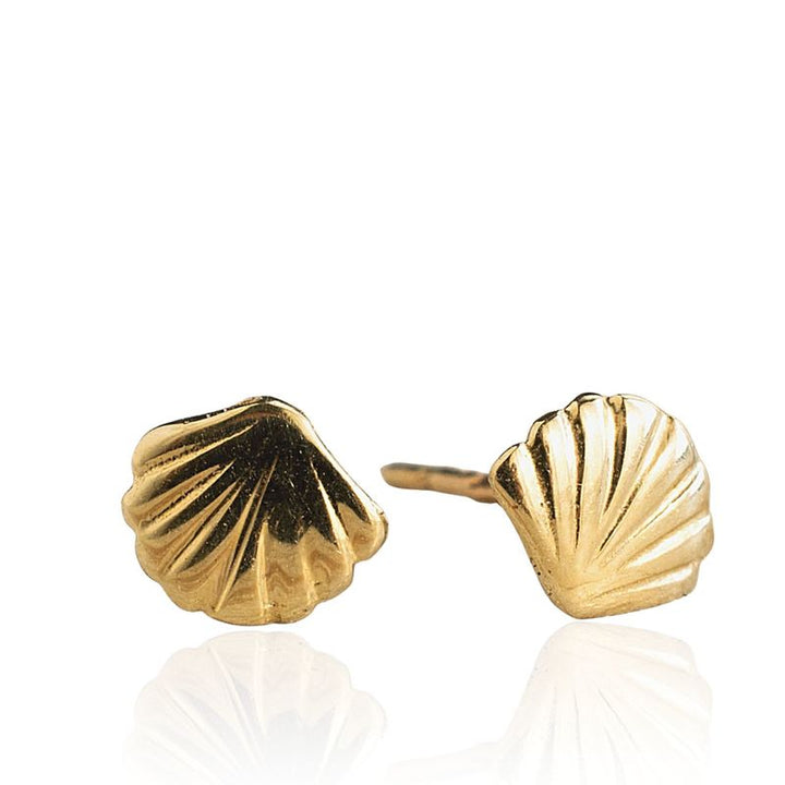 14k Solid Gold Shell Stud Earrings With Gold Closures