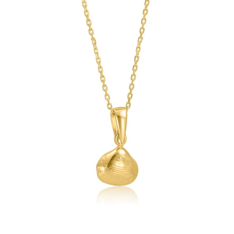 Gold Plated Pendant With Shell